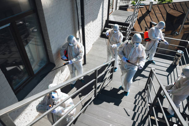 Best Mold Prevention Services  in Lacy Lakeview, TX
