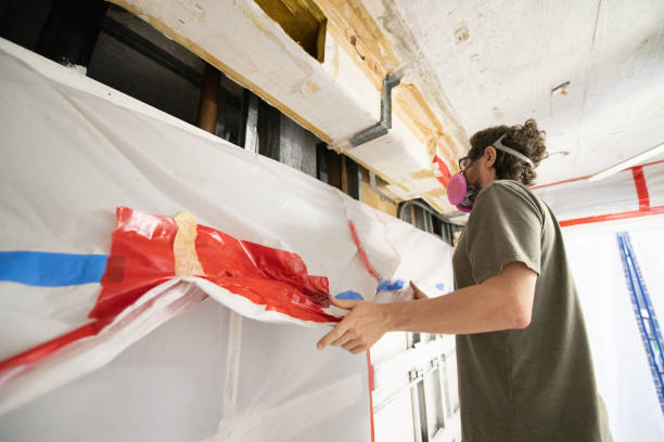 Trusted Lacy Lakeview, TX Mold Removal Experts