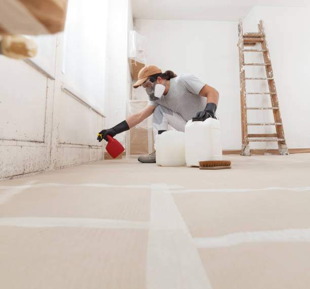 Best Commercial Mold Inspection  in Lacy Lakeview, TX